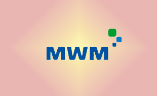 ✓ MWM 0404 0077 Запчасть MWM 